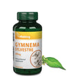 VITAKING Gymnema Sylvestre 400mg (Gurmar)